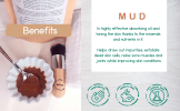 Activated Charcoal + Mud & Arnica Facial Masks Bundle - Deep Cleansing Pore Minimizer & Exfoliating Skin Care Set for All Skin Types (2-Pack)