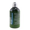 L'OCCITANE - Aromachologie Purifying Freshness Conditioner (Normal to Oily Hair)    17AS250P19 250ml/8.4oz