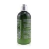 L'OCCITANE - Aromachologie Nourishing Care Shampoo (Dry to Very Dry Hair)    17SH300N18 300ml/10.1oz