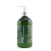 L'OCCITANE - Aromachologie Purifying Freshness Conditioner (Normal to Oily Hair)    17AS500P19 500ml/16.9oz